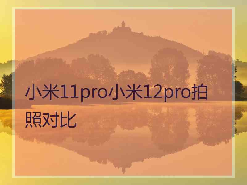 小米11pro小米12pro拍照对比