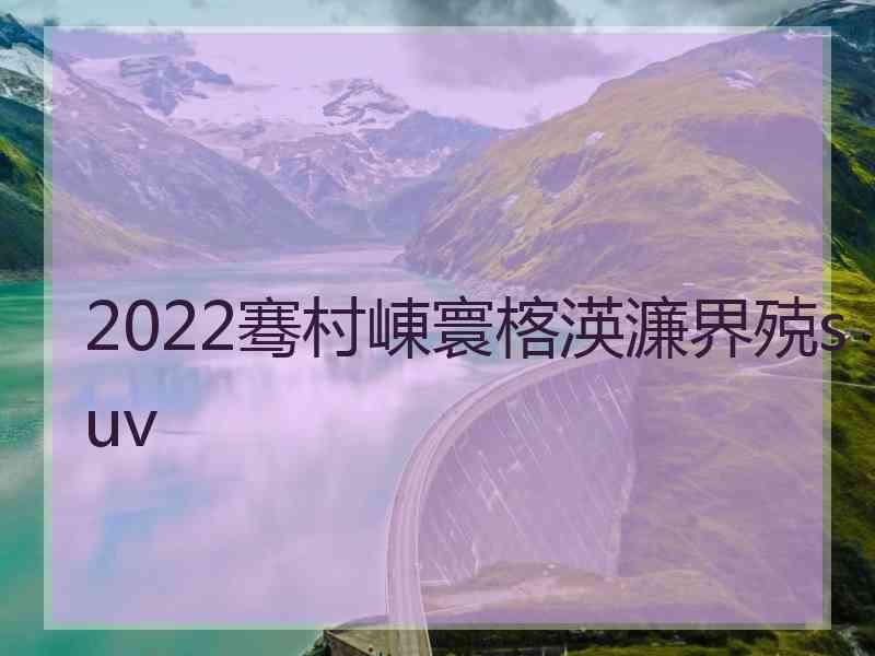 2022骞村崠寰楁渶濂界殑suv