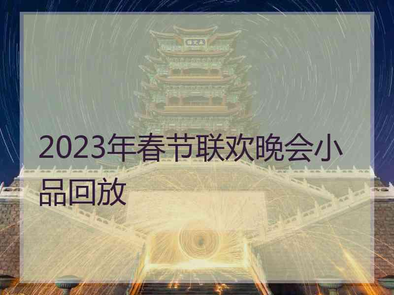 2023年春节联欢晚会小品回放