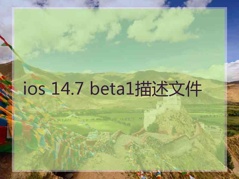 ios 14.7 beta1描述文件