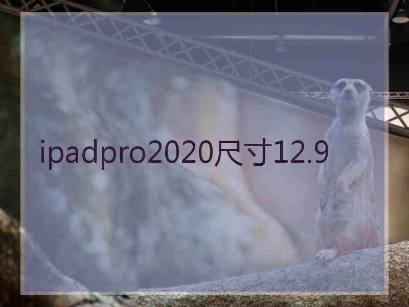 ipadpro2020尺寸12.9