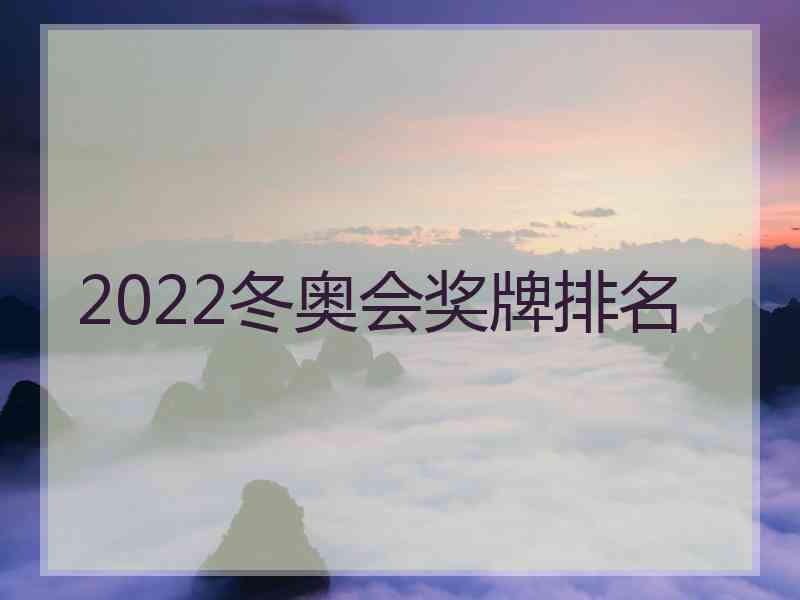 2022冬奥会奖牌排名