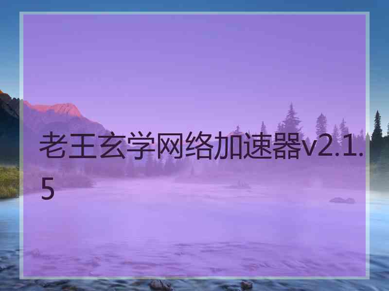 老王玄学网络加速器v2.1.5