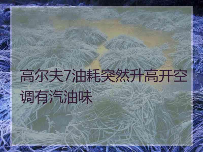 高尔夫7油耗突然升高开空调有汽油味