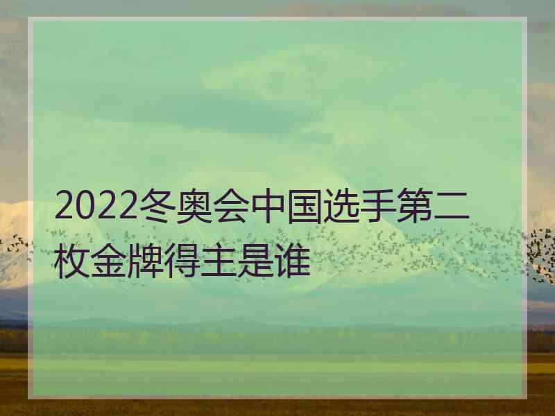 2022冬奥会中国选手第二枚金牌得主是谁