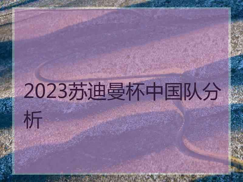 2023苏迪曼杯中国队分析