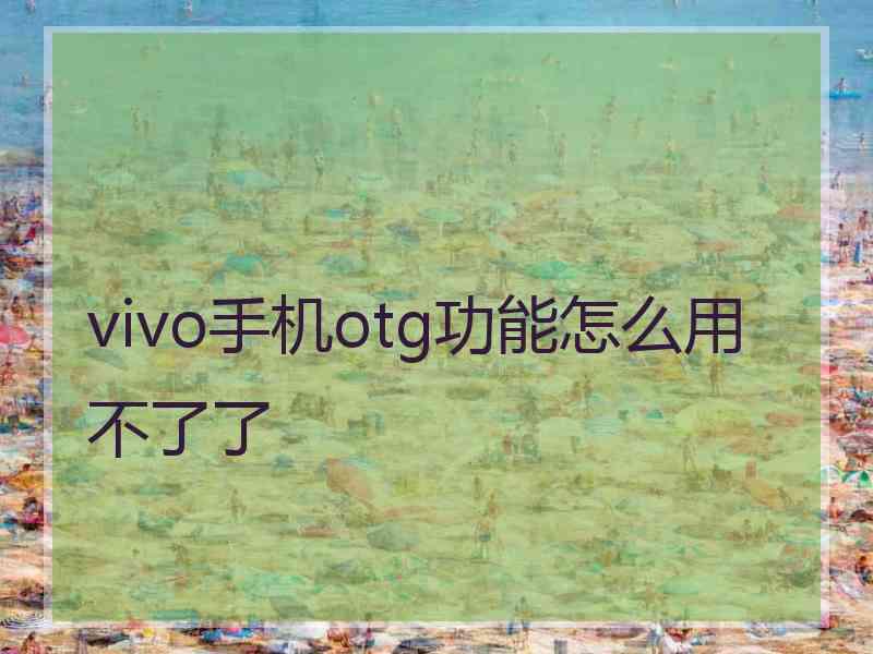 vivo手机otg功能怎么用不了了