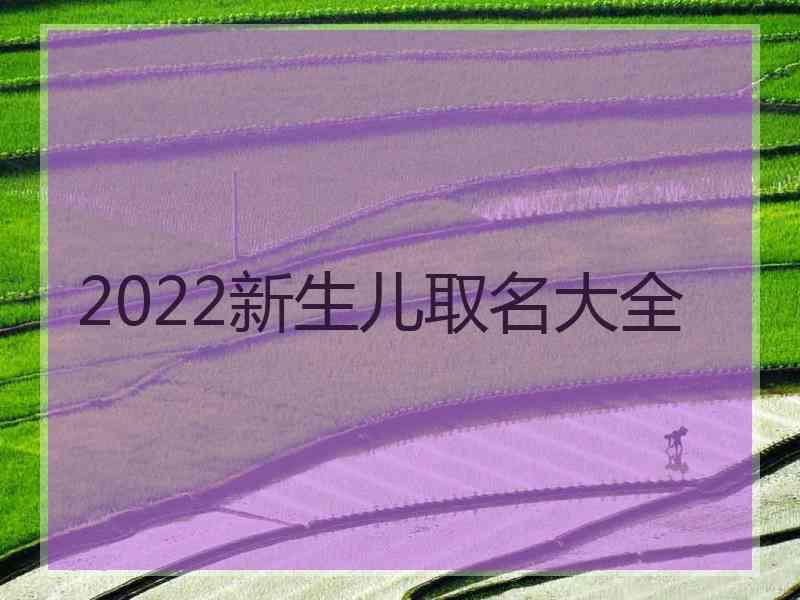 2022新生儿取名大全