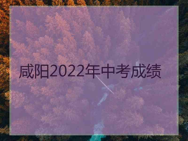 咸阳2022年中考成绩