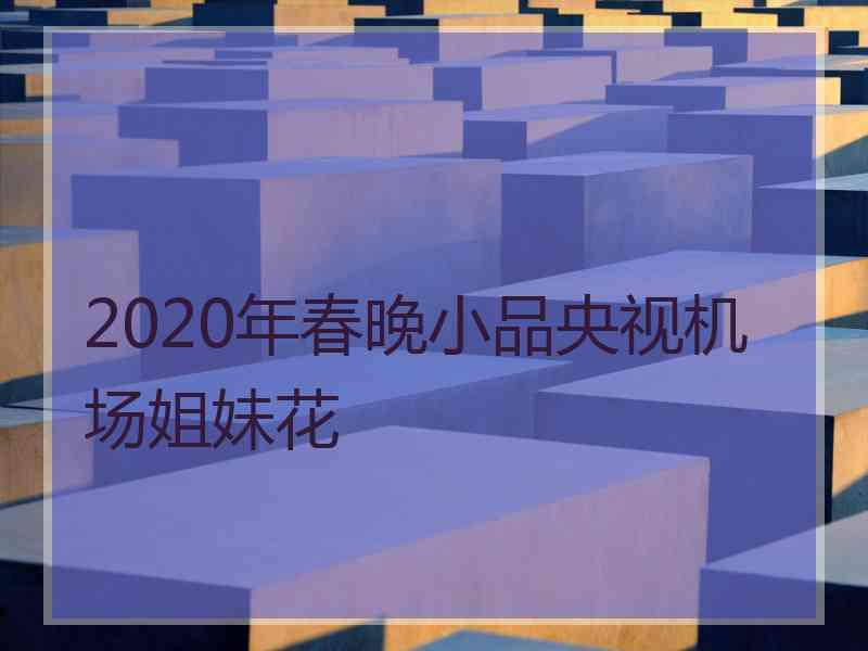 2020年春晚小品央视机场姐妹花