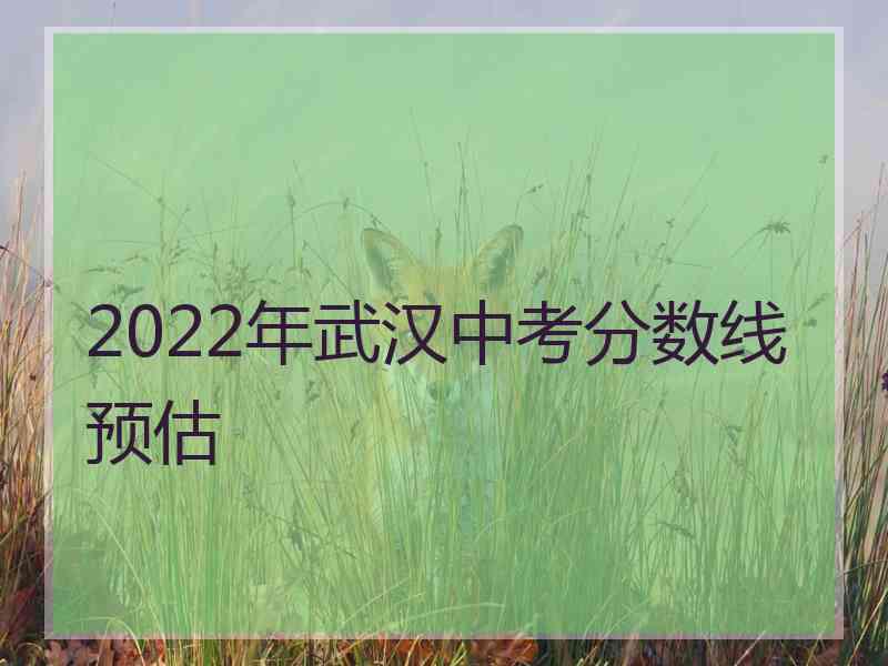 2022年武汉中考分数线预估