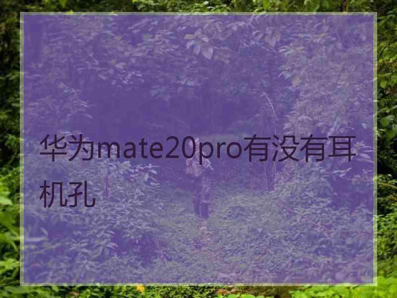 华为mate20pro有没有耳机孔