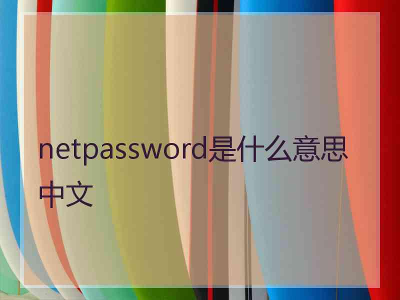 netpassword是什么意思中文