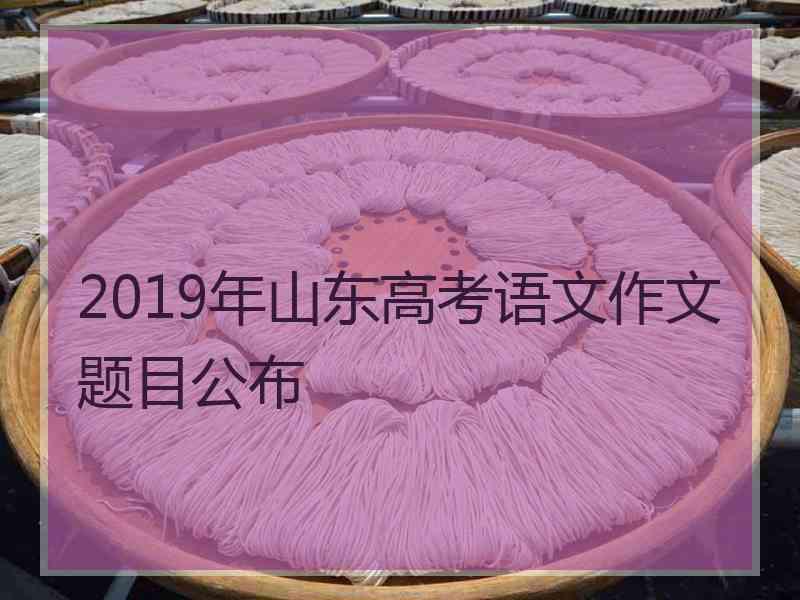 2019年山东高考语文作文题目公布