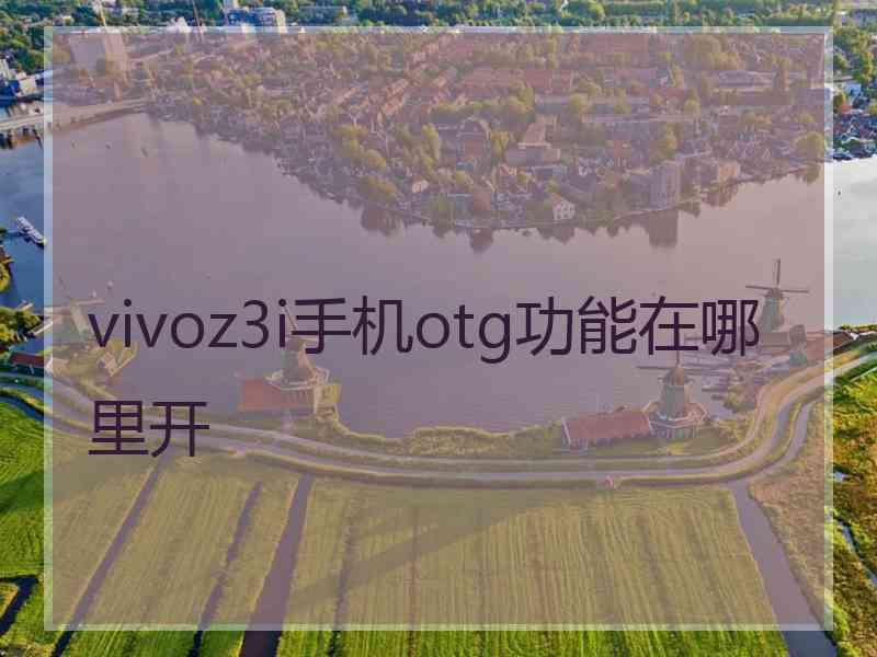 vivoz3i手机otg功能在哪里开