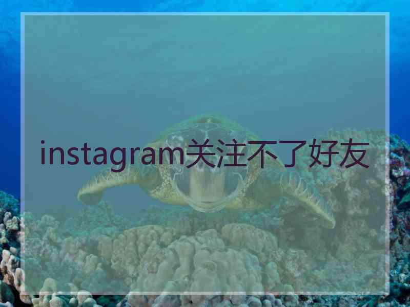 instagram关注不了好友