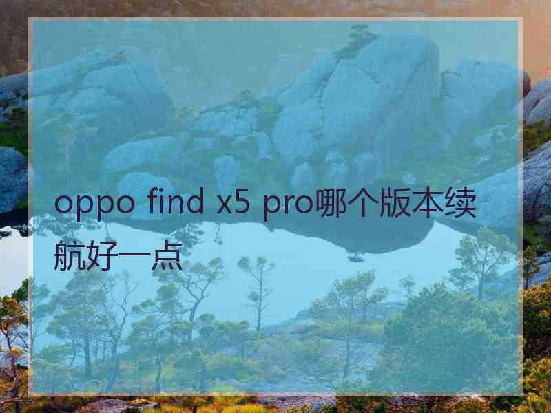 oppo find x5 pro哪个版本续航好一点