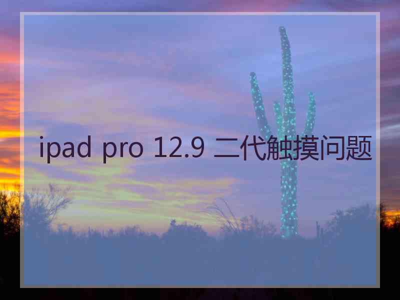 ipad pro 12.9 二代触摸问题