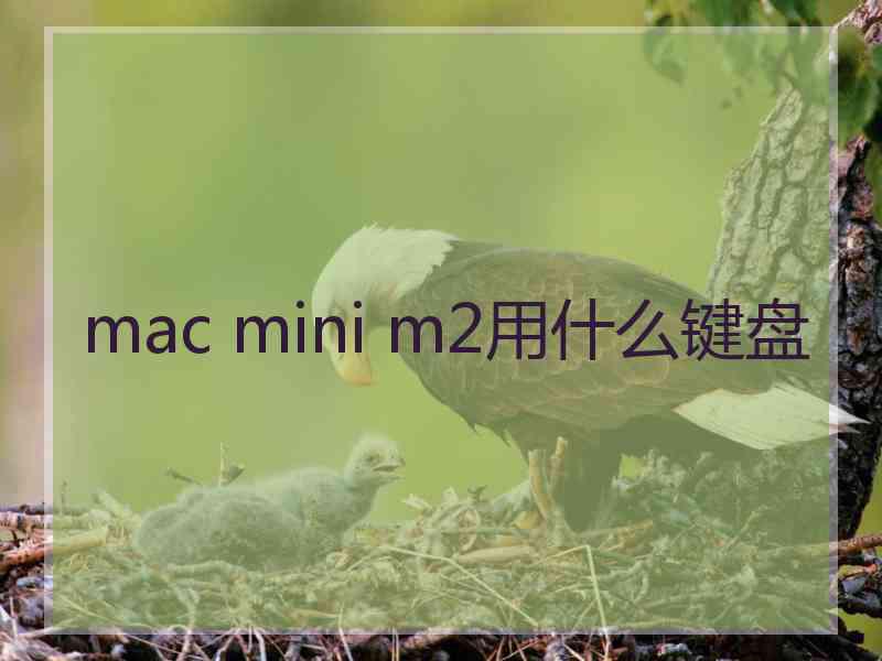 mac mini m2用什么键盘