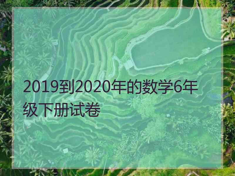 2019到2020年的数学6年级下册试卷