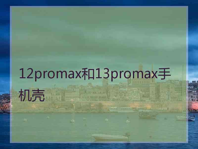 12promax和13promax手机壳