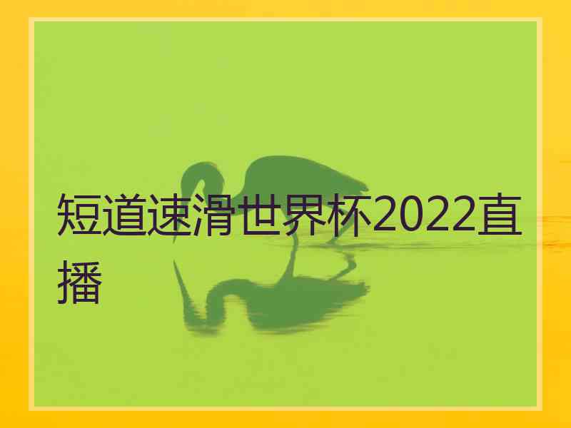 短道速滑世界杯2022直播