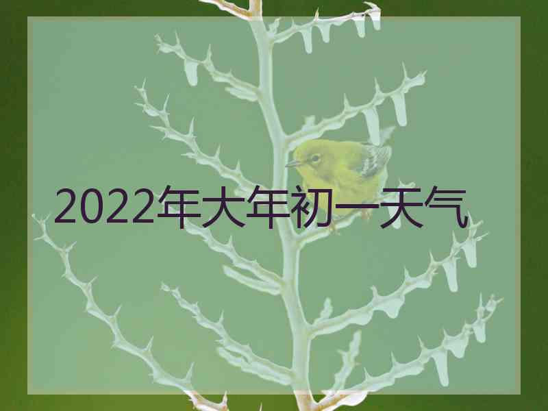 2022年大年初一天气