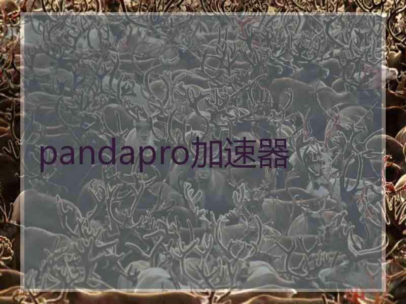 pandapro加速器