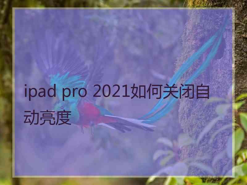 ipad pro 2021如何关闭自动亮度