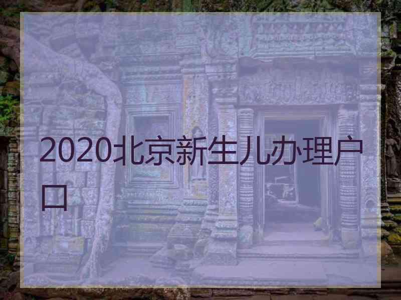 2020北京新生儿办理户口