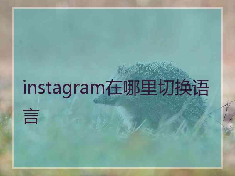 instagram在哪里切换语言