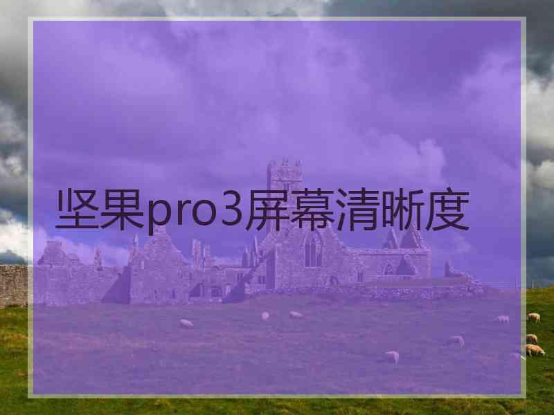 坚果pro3屏幕清晰度