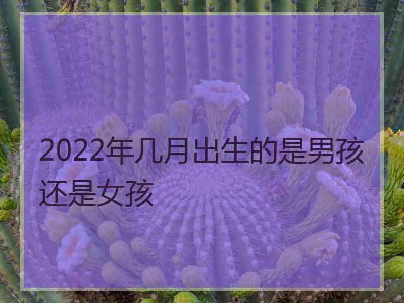 2022年几月出生的是男孩还是女孩