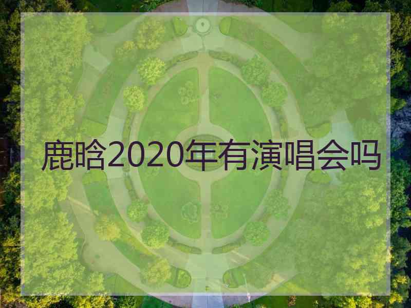 鹿晗2020年有演唱会吗