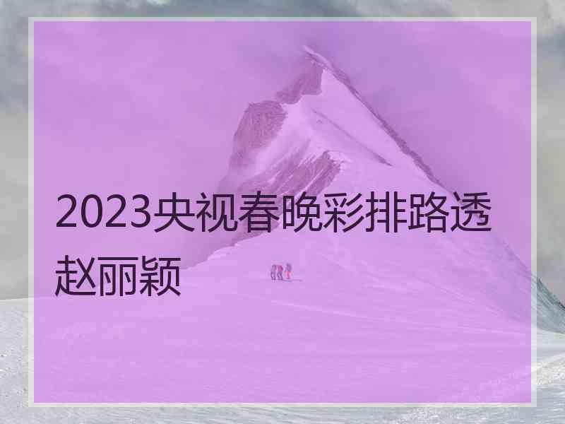 2023央视春晚彩排路透赵丽颖