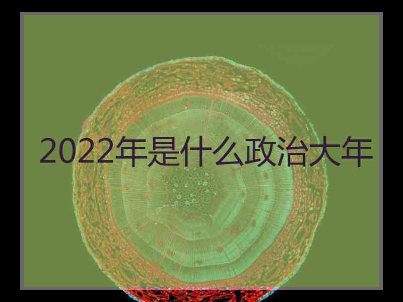 2022年是什么政治大年