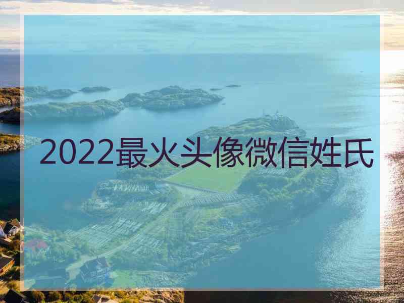 2022最火头像微信姓氏