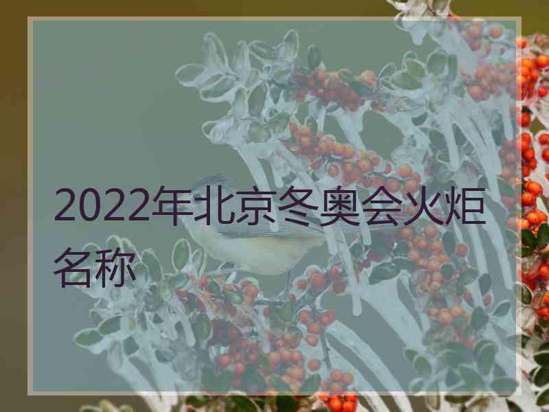 2022年北京冬奥会火炬名称