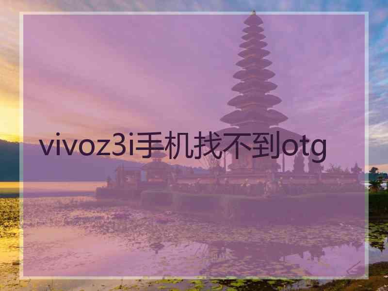 vivoz3i手机找不到otg