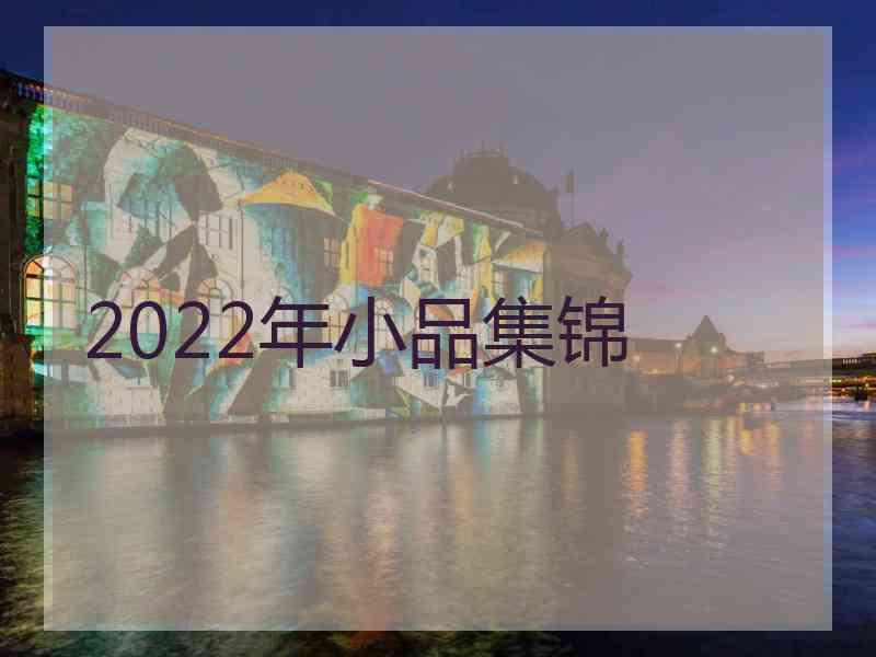 2022年小品集锦