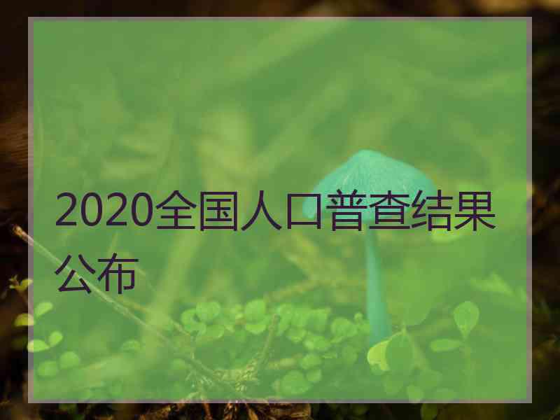 2020全国人口普查结果公布