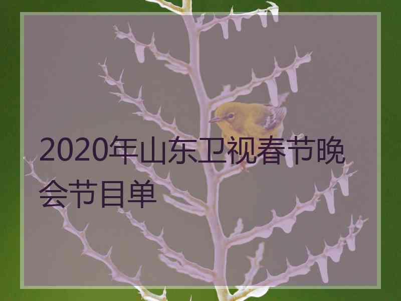 2020年山东卫视春节晚会节目单