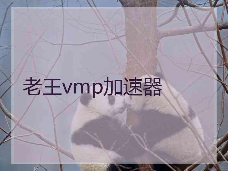 老王vmp加速器