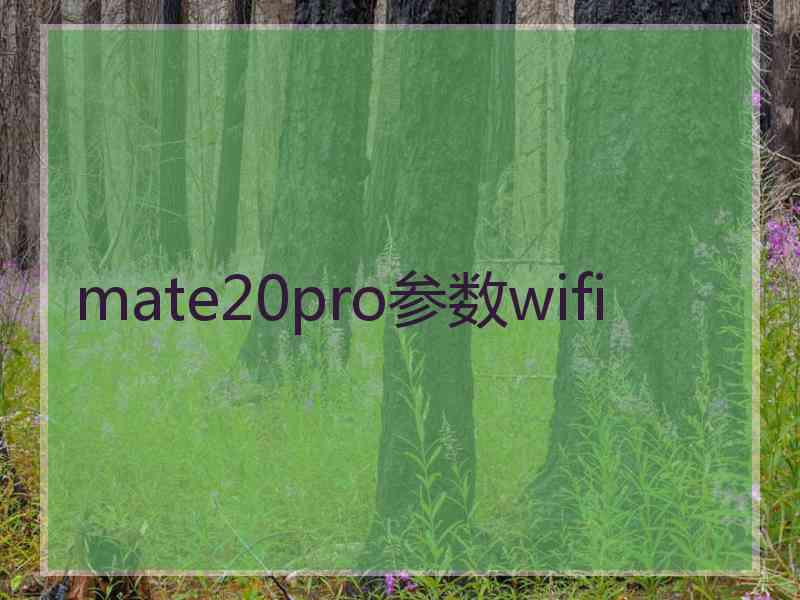 mate20pro参数wifi