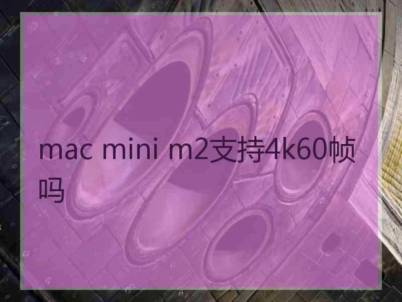 mac mini m2支持4k60帧吗