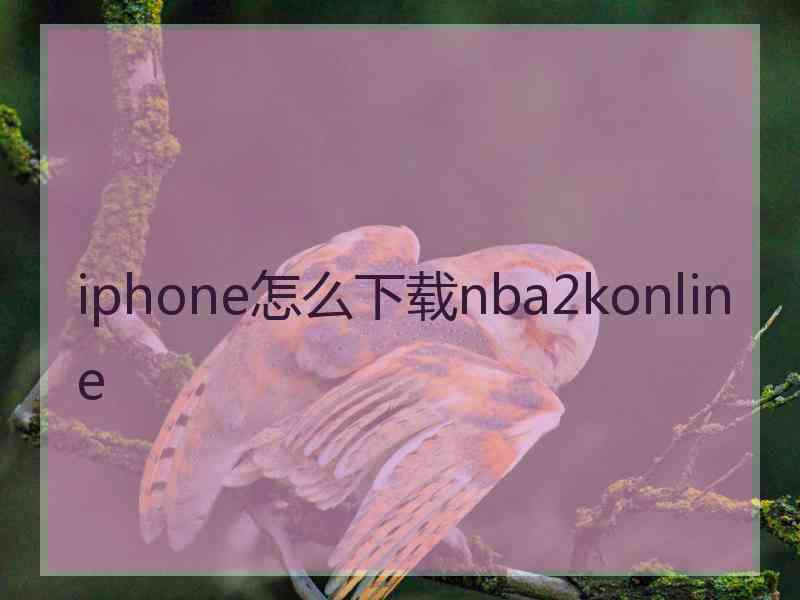 iphone怎么下载nba2konline