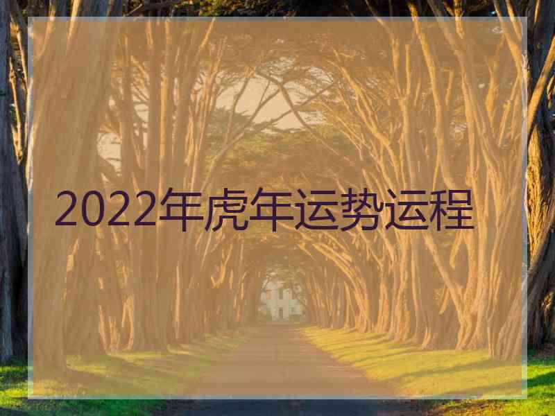 2022年虎年运势运程