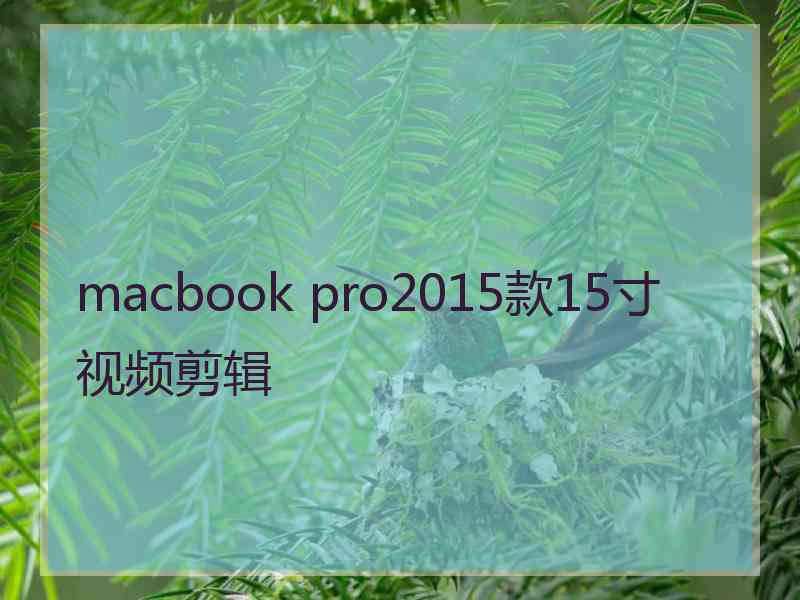 macbook pro2015款15寸视频剪辑