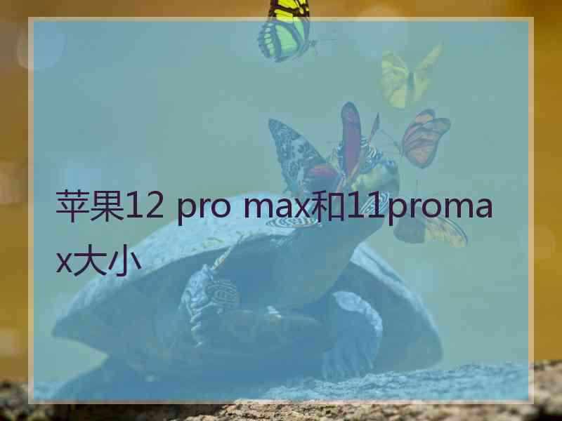 苹果12 pro max和11promax大小