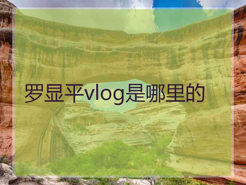 罗显平vlog是哪里的